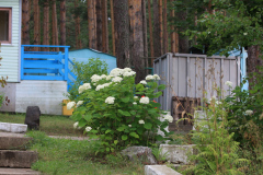 zaimka-28
